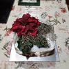 Christmas Cake